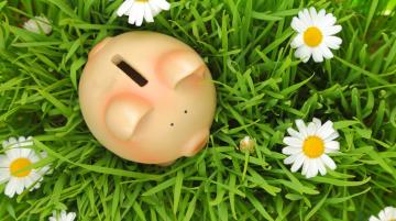 Piggy Bank in the grass with flowers around it